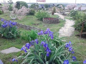 Motel Hotel Rosa Vetrov