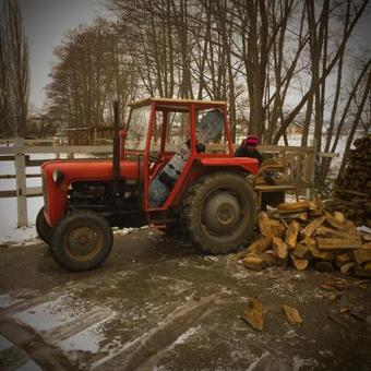 Agroturismo Ranch Nana's House