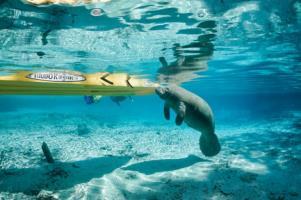 Hotel Holiday Inn Express Crystal River