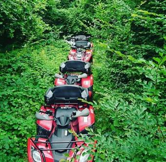 Bed & Breakfast Yazicilar Hotel