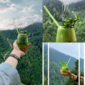 Hotel Ayder Doga Resort