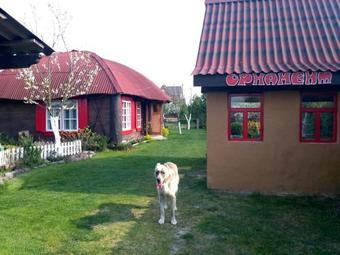 Lodge ?????? "????????"