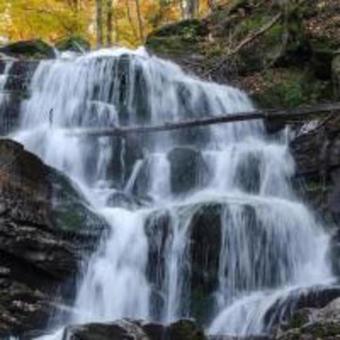 Bed & Breakfast ??????" ? ??????"