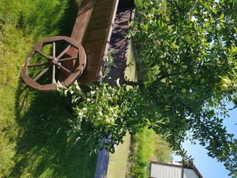 Guest House On Lesnaya