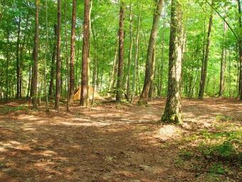 Primitive Camp Site At Little River Canyon