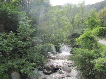 Villa The Zoev House