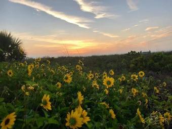 Apartamento Sanibel Siesta On The Beach Unit 301 Condo