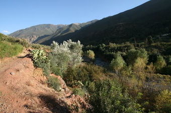 Bed & Breakfast Kasbah Africa