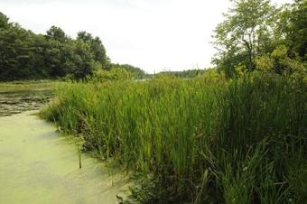 Gateway To Cape Cod Park Model 7