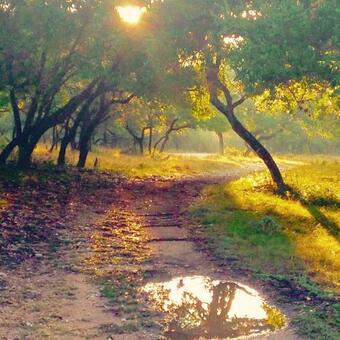 Bed & Breakfast Glory Hills Ranch