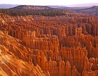 Hotel Staybridge Suites - St George