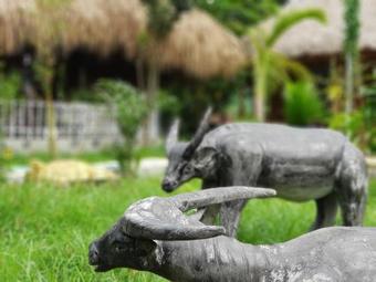 Ninh Binh Bungalow Homestay