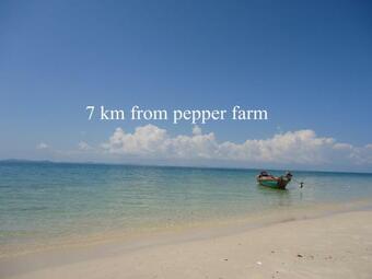 Hostal Pepper Farm Phu Quoc