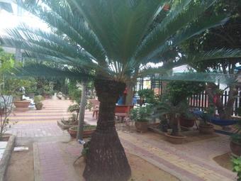 Hotel Kh�ch S?n M?ng An