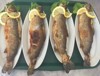 Hotel ?????????? ???? "????? ?????"