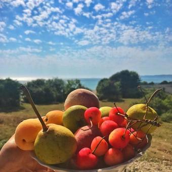 Hostal Mini-hotel Robinzon