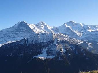 Schwizi's Apartments