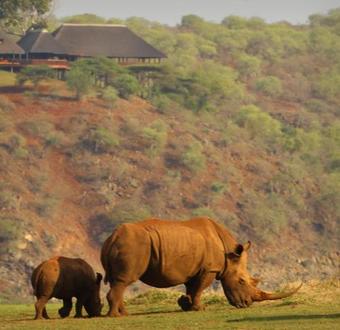 Nkwazi Lake Lodge