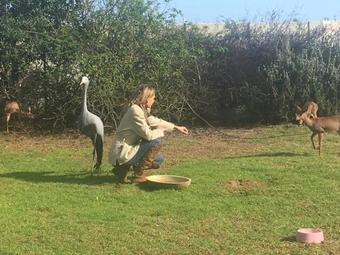 Hostal Goblin's Creek