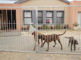 Apartamento Erf 473 Fisherhaven