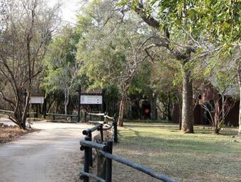 Burchell's Bush Lodge