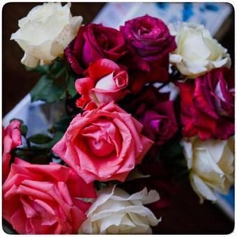 Hostal Wetlands Country House & Sheds