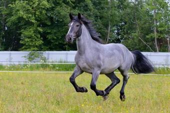 Agroturismo Villa Krasivaya