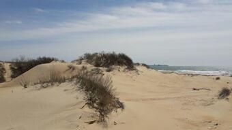 Apartment Near Anapa