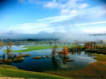 Hostal Apartment ?efic