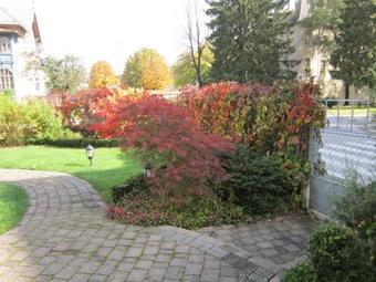 Hotel Guest House Veronika