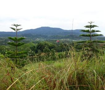 Hotel Janthawat Khaokho Resort