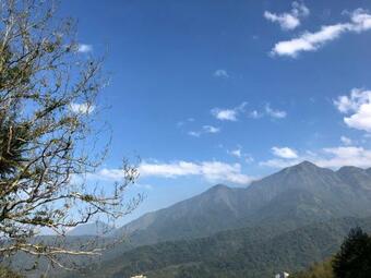 Bed & Breakfast Sitou Arcadia Homestay