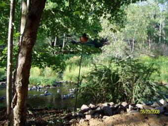 Posada Up A Creek Inn