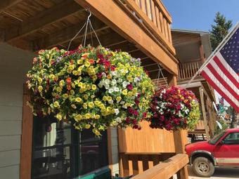 Hotel Elk Horn Lodge