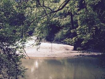 Bed & Breakfast The Meadow Cabin