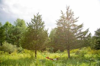 Tentrr - Clove Valley Creek