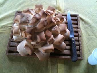 Bed & Breakfast Villa Mimma