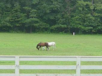 Bed & Breakfast Fair Havens Plantation