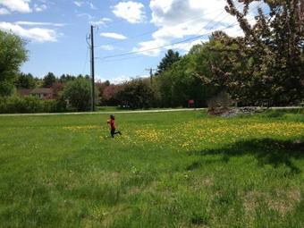 Timber Post Bed & Breakfast