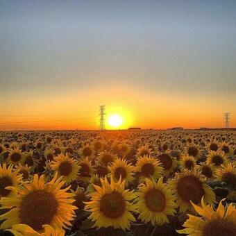 Hotel Best Western El-quartelejo Inn & Suites