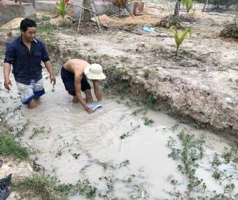 Bed & Breakfast Bungalow Yen Trinh