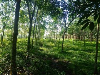 Agroturismo Pika Homestay