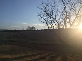 Agroturismo Blarney Stone Cottage