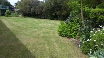 Padthaway Caravan Park