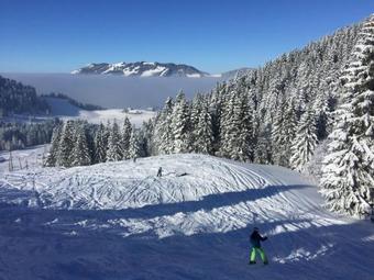 Roomy Suite In Horgen Near Lake And Skiresorts