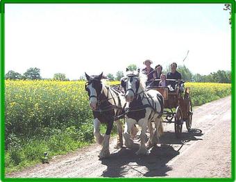 Apartamento Ferienhof Winther