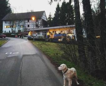 Hostal Guesthouse Nackerm�hle