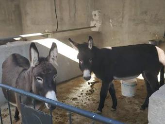 Agroturismo Mirador De Gergal