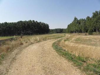 Agroturismo La Madrigata