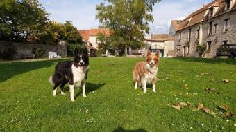 Bed & Breakfast La Fauconnerie Du Roy